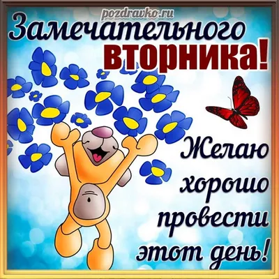 ОТЛИЧНОГО ВТОРНИКА! 8 НОЯБРЯ. #сдобрымутром #сдобрымутром_хорошегодня ... |  TikTok