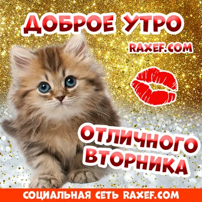 ❗️❗️❗️Всем отличного вторника☕️ ❗❗❗Изготовлю вашу печать быстро и  качественно😉 ❗❗❗Индивидуальный дизайн, логотип, защита от подлелки🔏 ❗❗❗  О… | Instagram