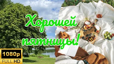 Доброе утро!. Отличной пятницы! - Лента новостей ДНР