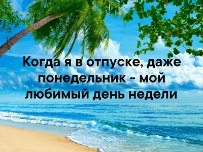 Что это пролетело? Мой отпуск»: самые смешные мемы про отдых -  Рамблер/субботний