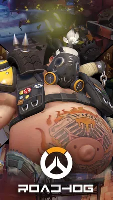 Mobile wallpaper: Overwatch, Video Game, Roadhog (Overwatch), 1300315  download the picture for free.