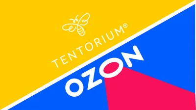 В Тульской области построят новый логистический комплекс Ozon - Новости  Тулы и области - MySlo.ru