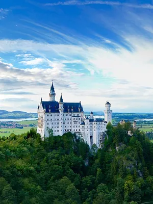 Picture Bavaria Neuschwanstein Germany Cliff castle 600x800