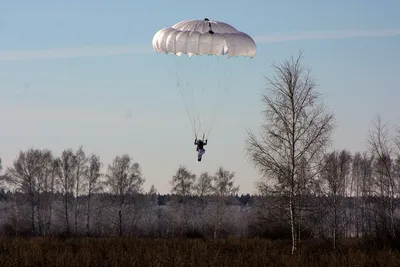 Воздушный змей управляемый парашют «Россия 200» - HASI-53200 - купить по  оптовой цене в интернет-магазине RCstore.ru