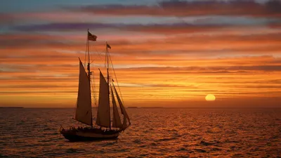 Wallpaper Black and White Sail Ship on Sea Under Blue Sky During Daytime,  Background - Download Free Image