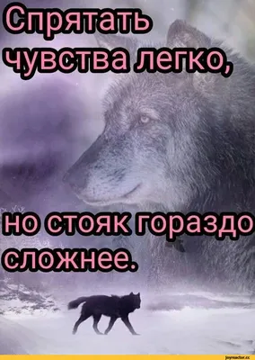 Пацанские истории»: как бедовые киногерои нулевых уделали всех в  казахстанском кино 2020-х — Статьи на Кинопоиске