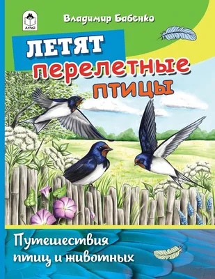 Игра на липучках «Перелетные и зимующие птицы» - Скачать шаблон | Раннее  развитие