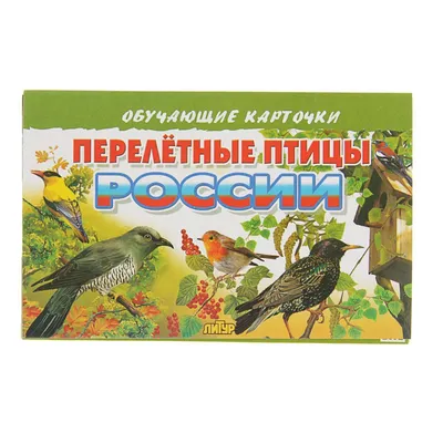 Тема недели:\"Перелетные птицы\". Новости 6 \"ИНТЕГРИРОВАННАЯ ГРУППА №2\".  Государственное учреждение образования \"Козловщинский детский сад\"