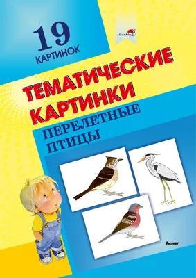 Загадки про перелетных птиц – Психологическое зеркало и тИГРотека