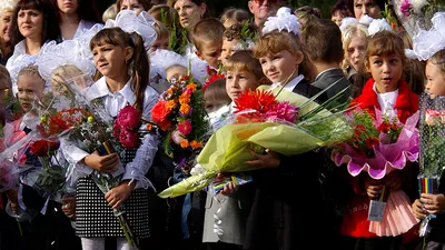 Занятия в школах в очном режиме начнутся 1 сентября - Российская газета