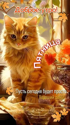 Доброе утро! Пятница. 🍁🌤️😺 | Доброе утро, Счастливые картинки, Веселые  картинки