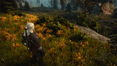 Пикселизация игры - Форум The Witcher 3: Wild Hunt