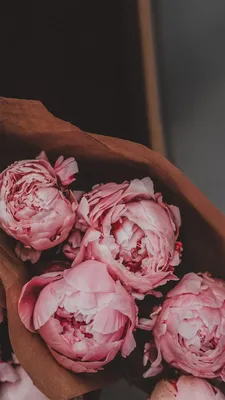 обои | цветы | пионы | wallpaper | flowers | peonies | Peony wallpaper,  Flower backgrounds, Flower phone wallpaper