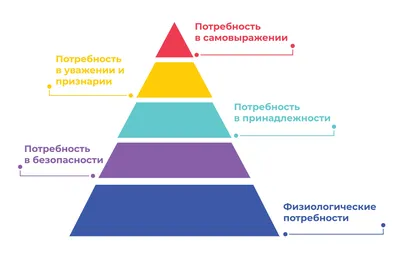 Пирамида потребностей Маслоу: главные принципы и структура | Forbes Life