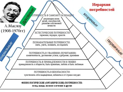 Современная пирамида Маслоу | Пикабу