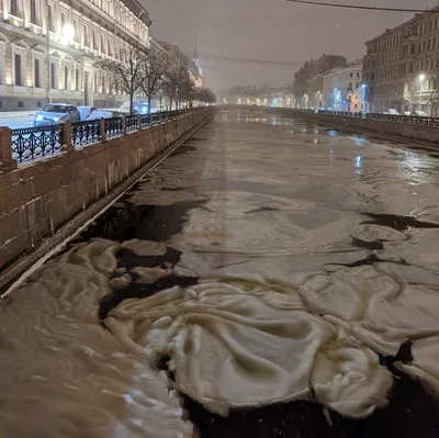 Из Москвы в Питер пойдет новый туристический круговой поезд «Культурный  Петербург» - Москвич Mag