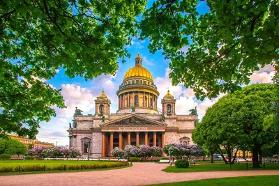 Летний Питер - автобусный тур в Санкт-Петербург из Москвы 2 дня