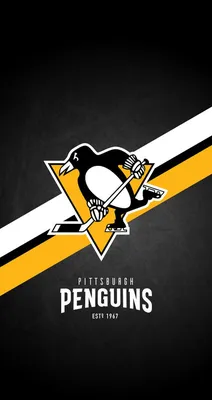 Пин от пользователя Kellie Armold на доске pittsburgh penguins | Питтсбург  пингвинз, Питтсбург, Нхл