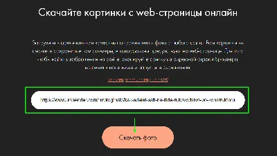 Тест по картинке определит вашего идеального мужчину - МЕТА