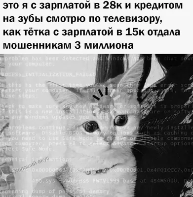 10 смешных картинок, чтобы поднять настроение: улыбнитесь до ушей с этой  эксклюзивной подборкой | Хороший вкус | Дзен