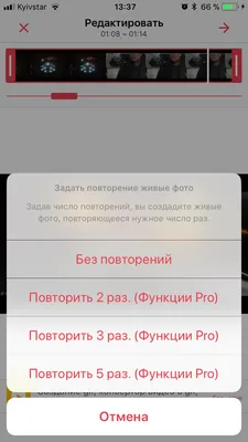 Живые обои для пары❤️#живыеобои | TikTok