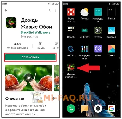 Как сделать живые обои для iPhone из любого видео или гифки - Лайфхакер