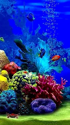 Подводный мир Вдохновение Идеи Обои для Iphone | Sea life art, Ocean art,  Underwater photography ocean