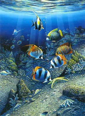 подводный мир | Fish painting, Tropical fish art, Sea life art