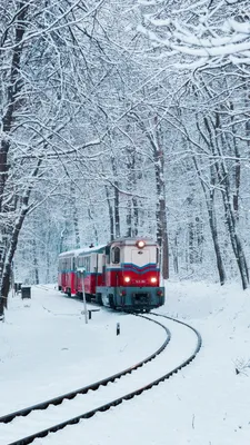 Обои на телефон поезд, железная дорога, снег, лес - скачать бесплатно в  высоком качестве из категории \"Природа\"