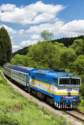 Images Czech Republic Nature Trains Railroads Trees 640x960