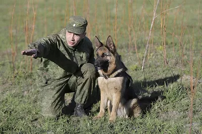 Пограничные войска. Бывших пограничников не бывает.