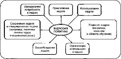 Интернет в неконкурентной политике»: вопросы и ответы о курсе — Новости —  Магистерская программа «Сравнительная политика Евразии» — Национальный  исследовательский университет «Высшая школа экономики»