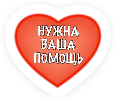 Как незаметно позвать на помощь, если вы оказались в критической ситуации -  Инфографика ТАСС