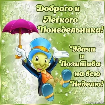 Добрейшего утра! Лёгкого понедельника 🤗😊😜🌞🌞🌞🌈 #доброеутро  #настроение #позитив #gudmorning #мантра #аффирмации #юмор | Instagram