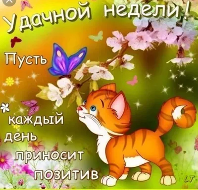 ОСЕНЬ - С понедельником,друзья!!!#понедельник #позитив... | Facebook