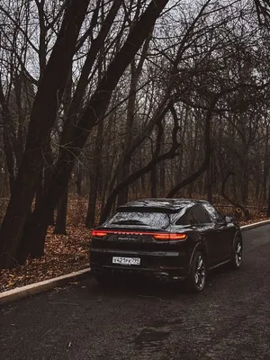 1080x1920 Porsche 911 Gt2 Wallpapers for IPhone 6S /7 /8 [Retina HD]