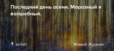 Последний день осени. Сова. Ночь с…» — создано в Шедевруме