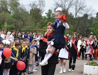 Баннер \"Последний звонок\", арт. ШК-3963 купить по цене от 4 340 руб. |  Калипсо