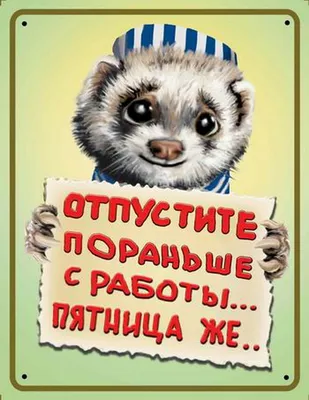 Поздравления с выходом на работу » Прикольные картинки: скачать бесплатно  на рабочий стол