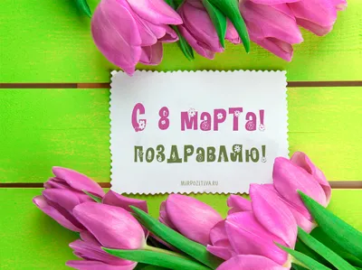 🌹СУПЕР ПОЗДРАВЛЕНИЕ НА 8 МАРТА! С Международным Женским Днём! Музыкальная  видео открытка с 8 марта! - YouTube