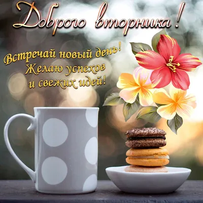 Красивые картинки Доброе утро ☀️☕ (618 шт.)