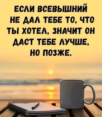 Заряжаемся позитивом и яркими эмоциями по максимуму 🧡 Вместе с  @procvetay_od ☎️+380933303770 ( Вайбер/Вотсап/Телеграмм) 🚘Доставка… |  Instagram