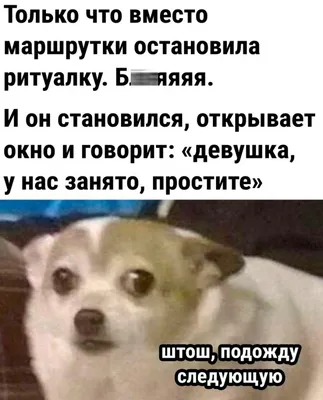 Открытка Святки радостно и ярко В жизнь нелегкую вошли. Вам желаю, чтобы  море Позитива принесли.