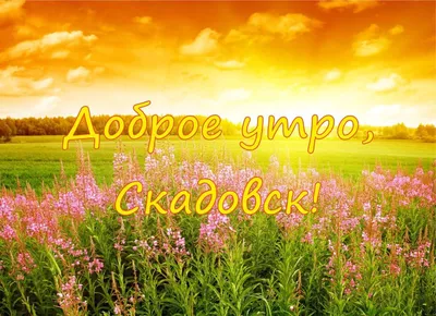 Доброе утро! Позитивного настроения! Легкого понедельника !