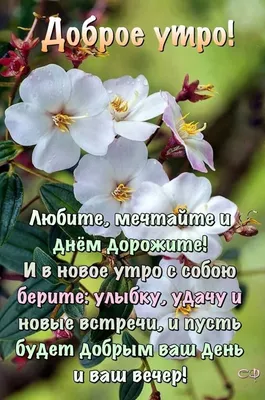 Картинки \"Доброе утро позитивные\" (1157 шт.)