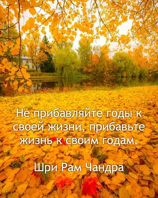 Более 100 мотивационных цитат для поощрения совместной работы в коллективе  [2023] • Asana