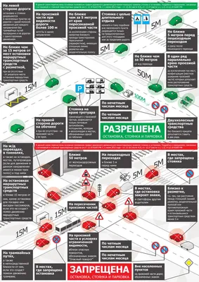 Как изменятся ПДД с 1 марта 2023 года: проезд круговых перекрестков, правила  для электросамокатов и новый запрет остановки - 1 марта 2023 - chita.ru