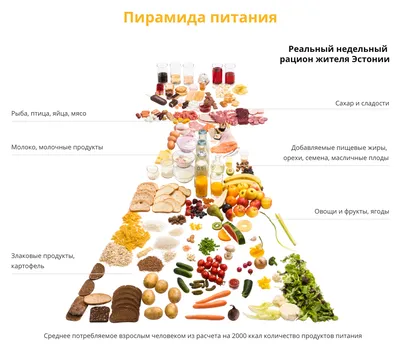 Правильное питание - залог здоровья и красоты