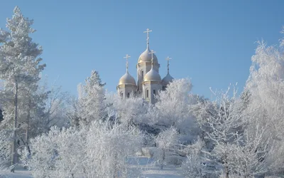 Экскурсия Православные храмы Новосибирска - цена 7000 ₽