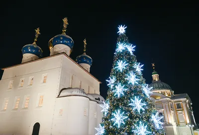 Праздничные рецепты из Страны чудес, Изумрудного города и других  литературных миров (Элисон Уолш) - купить книгу с доставкой в  интернет-магазине «Читай-город». ISBN: 978-5-00-169972-9